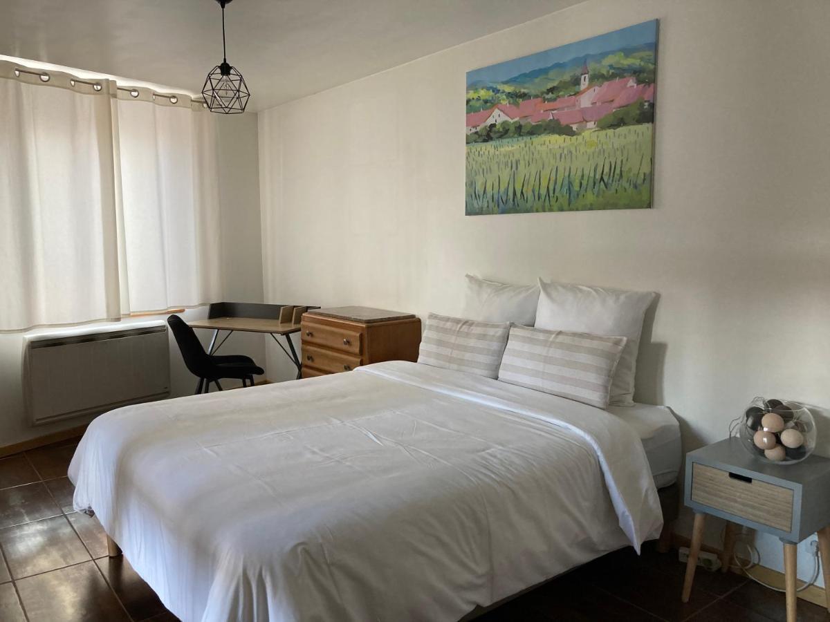 Parenthese Alsacienne Apartment Schiltigheim Bagian luar foto