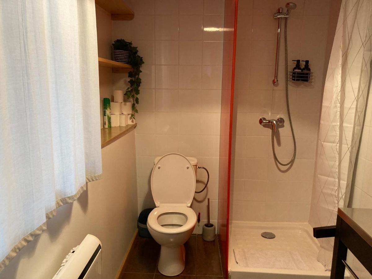Parenthese Alsacienne Apartment Schiltigheim Bagian luar foto