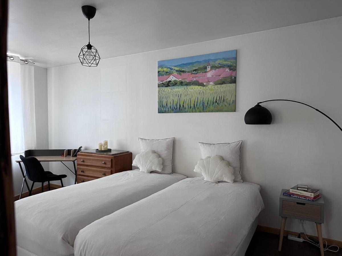 Parenthese Alsacienne Apartment Schiltigheim Bagian luar foto