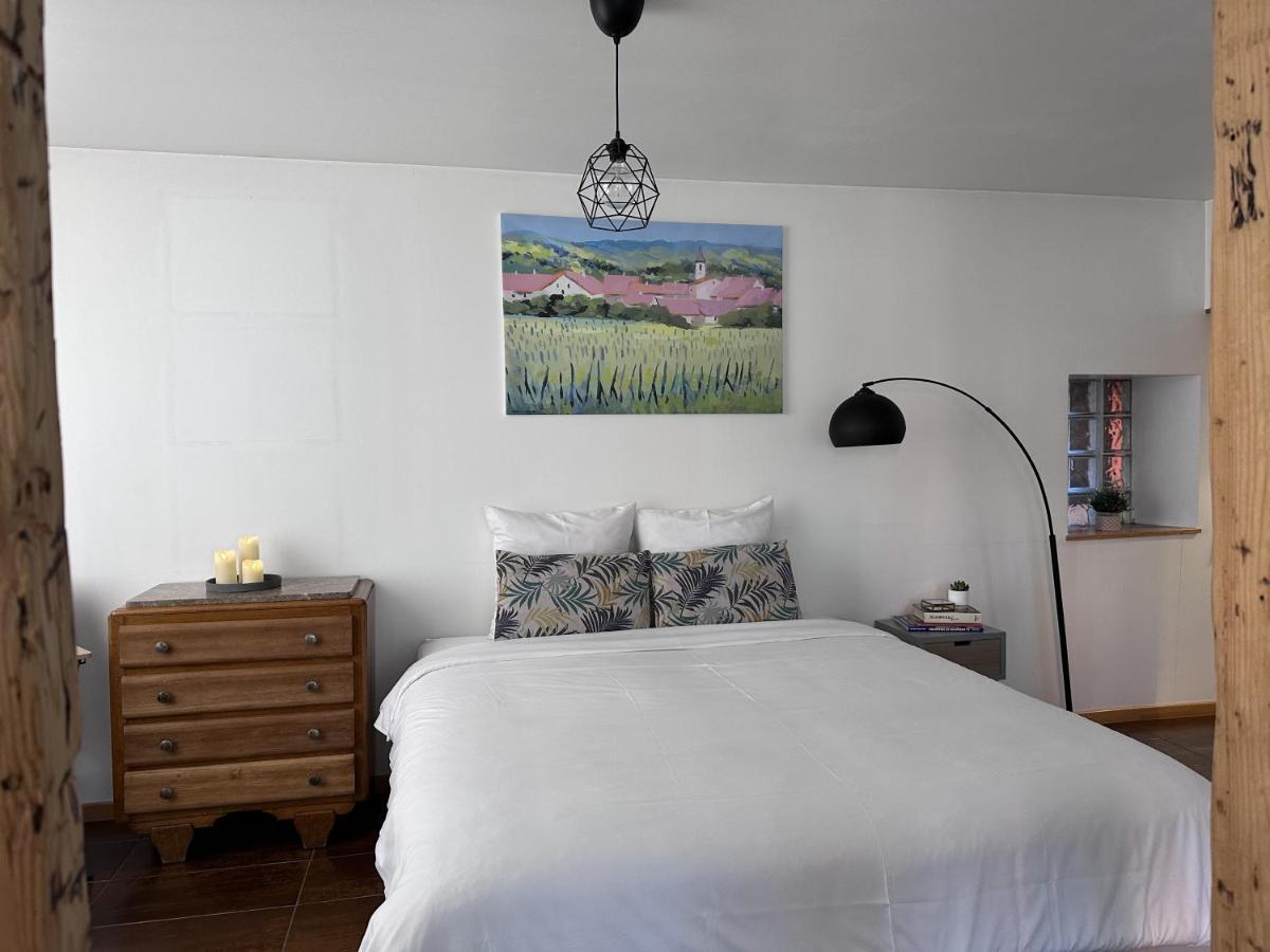 Parenthese Alsacienne Apartment Schiltigheim Bagian luar foto