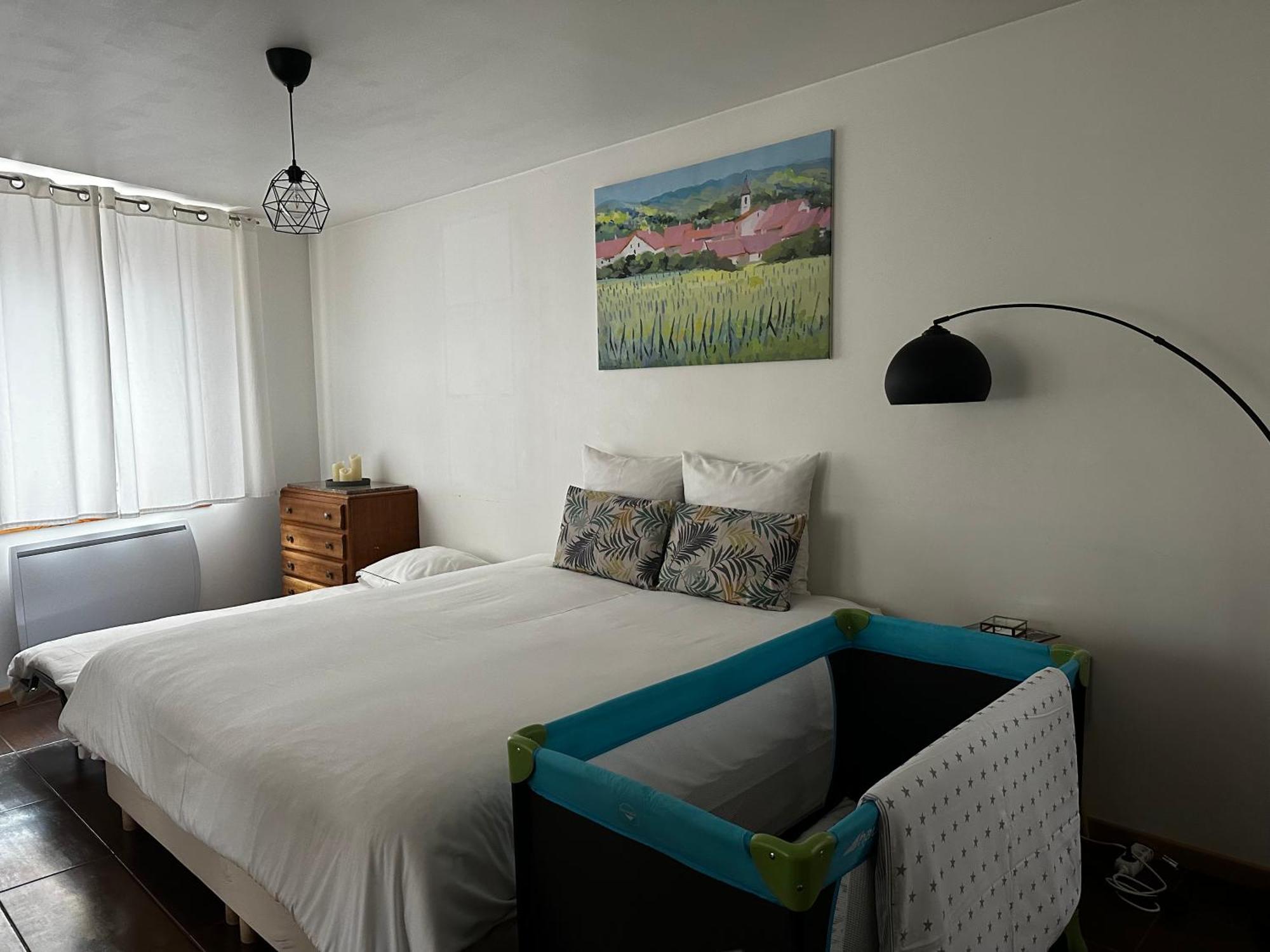 Parenthese Alsacienne Apartment Schiltigheim Bagian luar foto