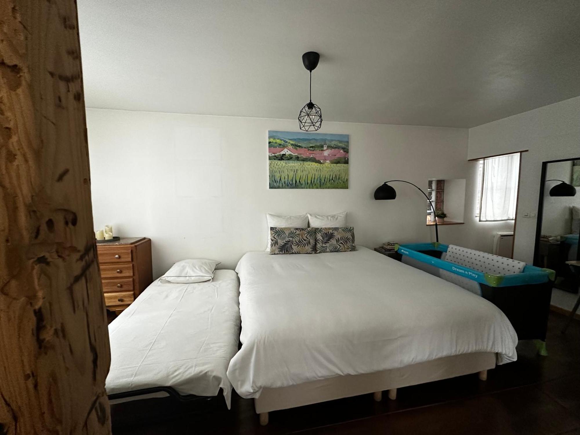 Parenthese Alsacienne Apartment Schiltigheim Bagian luar foto